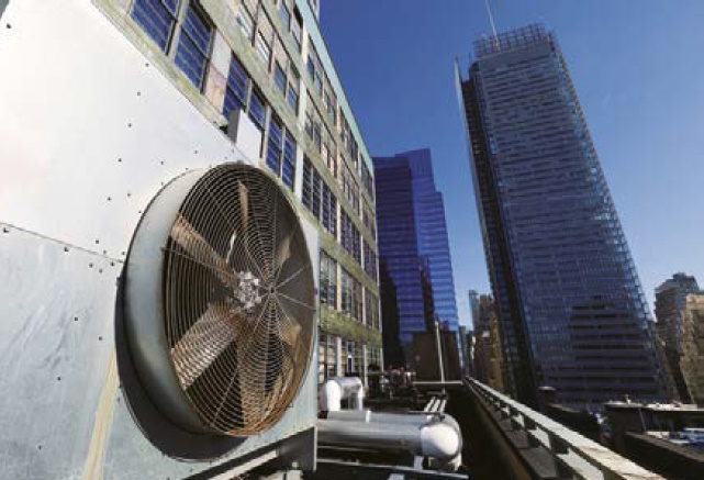 Fan