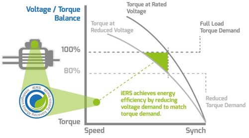 iERS schematisch